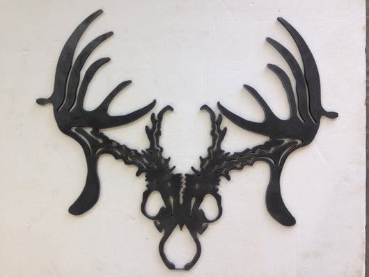 Texas Trophy Hunter Association Deer Head Skull