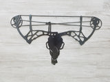 Deer Skull with Bow Antlers